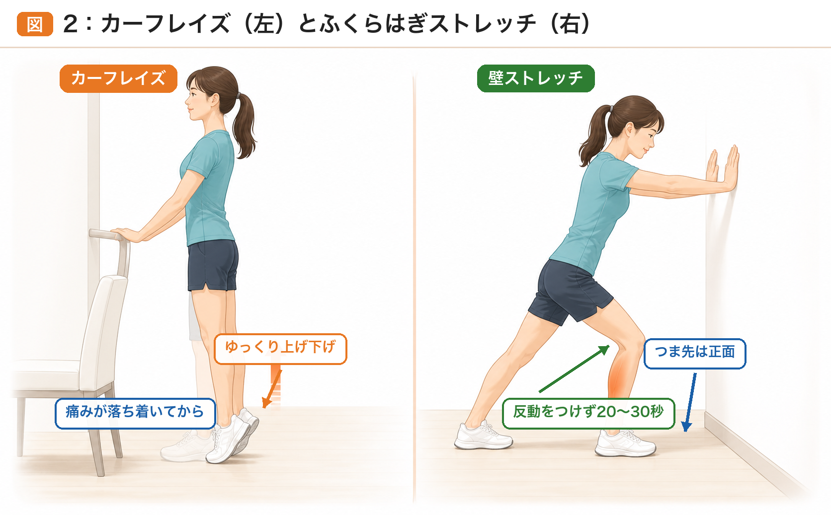 カーフレイズと壁を使ったふくらはぎストレッチを説明したイラスト