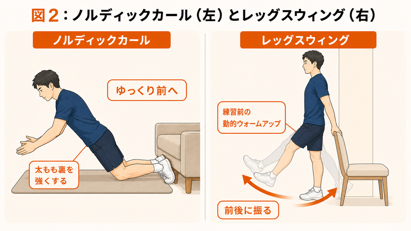 図2：ノルディックカールとレッグスウィング。ハムストリングス肉離れの再発予防として行うエクササイズの患者向けイラスト。
