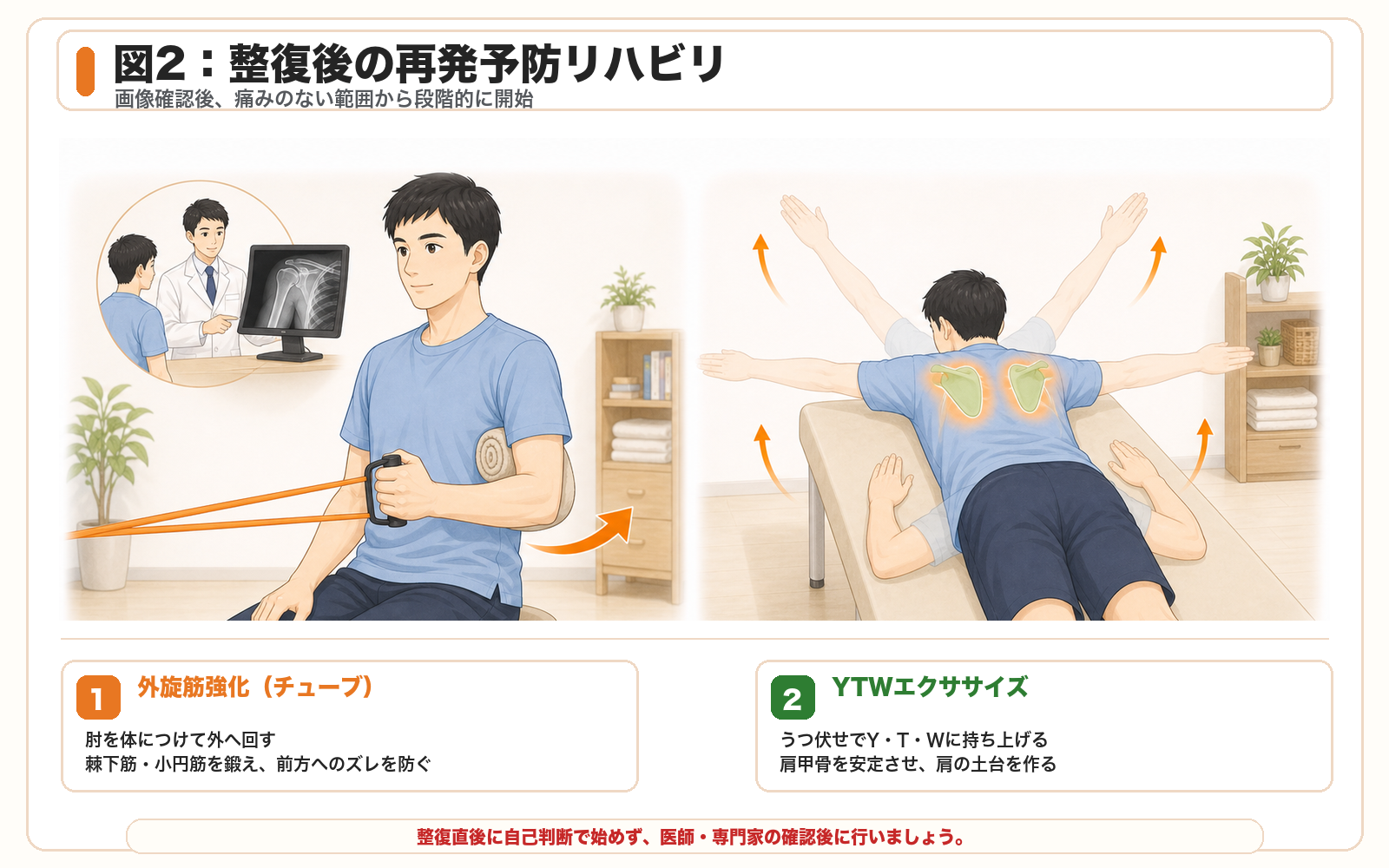 図2:整復後の再発予防リハビリ。外旋筋強化とYTWエクササイズを医師・専門家の確認後に行う。