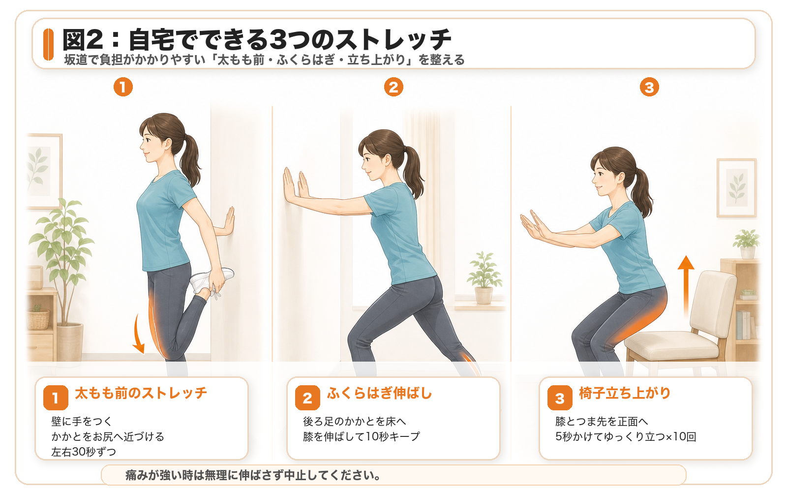 図2:自宅でできる3つのストレッチ。女性が太もも前のストレッチ、ふくらはぎ伸ばし、椅子立ち上がりを行う手順。
