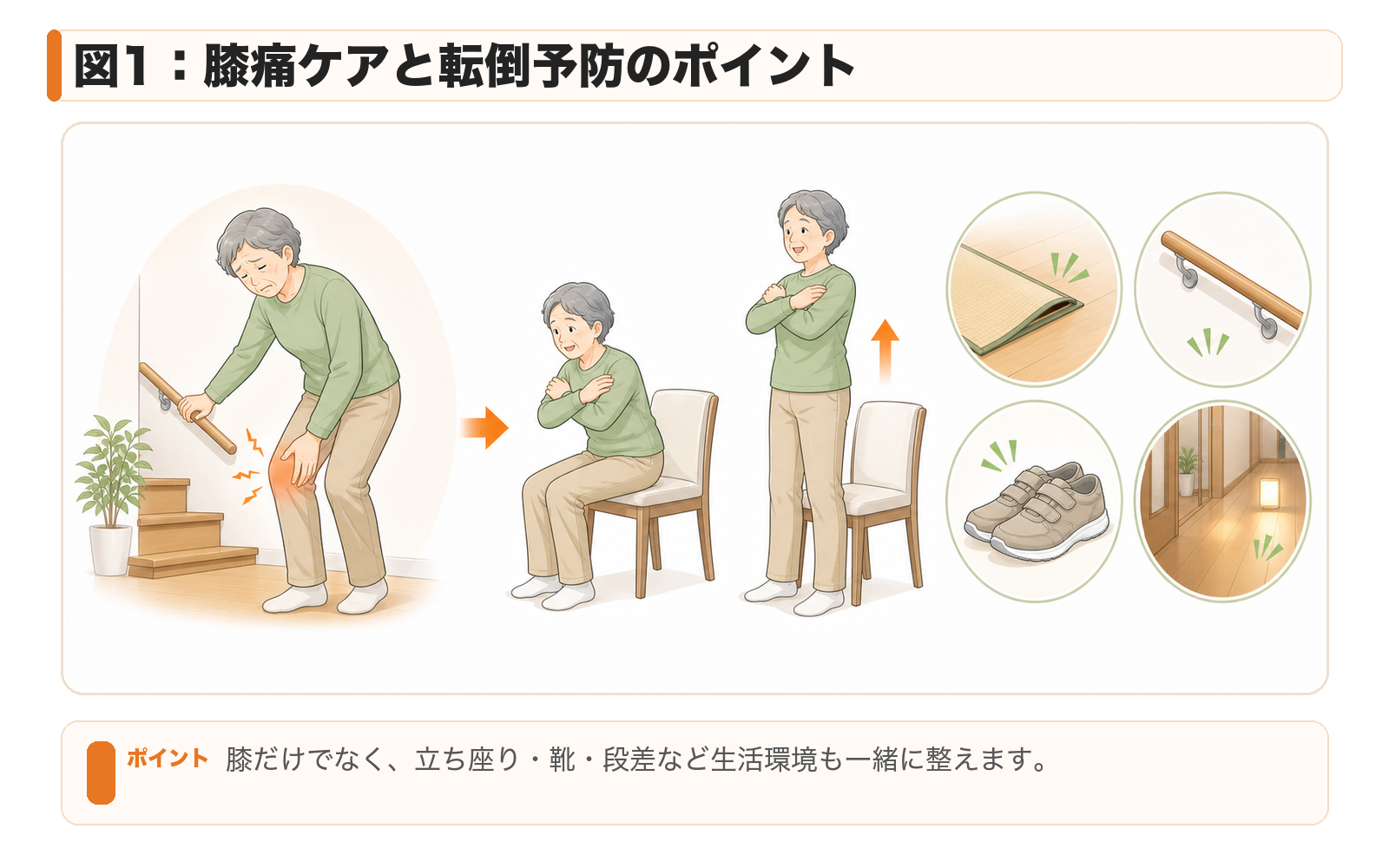 図1：膝痛ケアと転倒予防のポイント。膝だけでなく、立ち座り・靴・段差など生活環境も一緒に整えます。