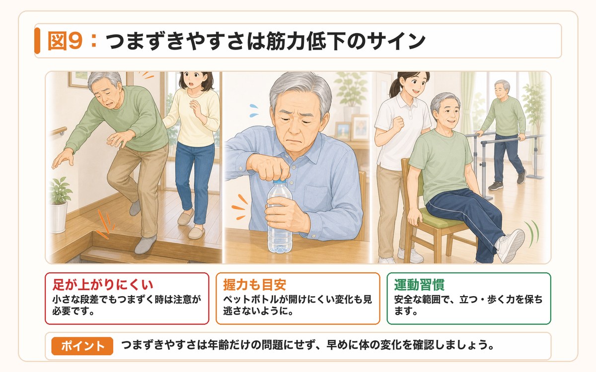 図9:つまずきやすさは筋力低下のサイン